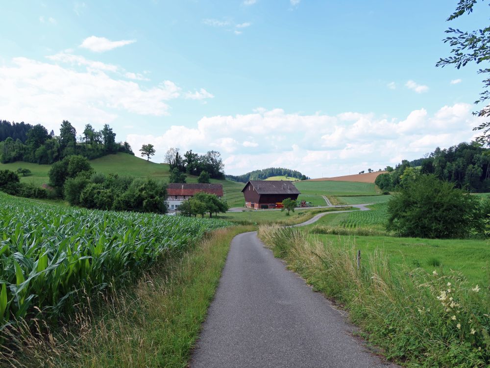 Bauernhof Johannestal