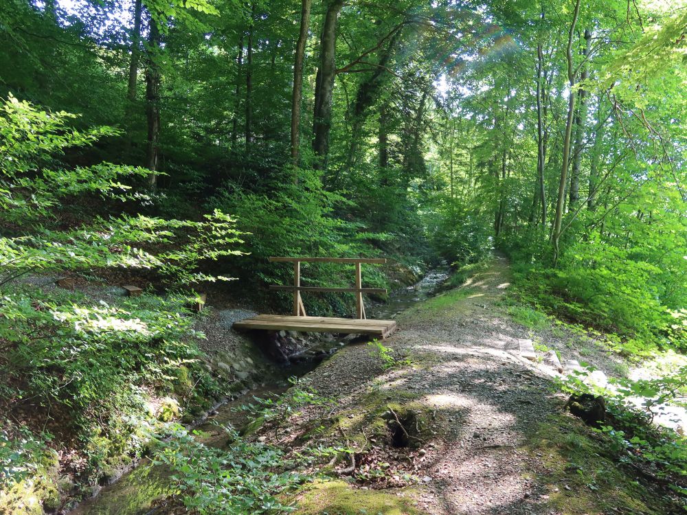 Steg über Waltensteiner Eulach