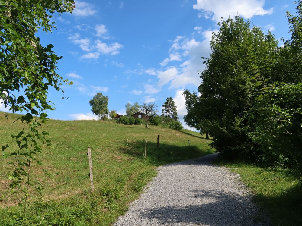 Steiggasse