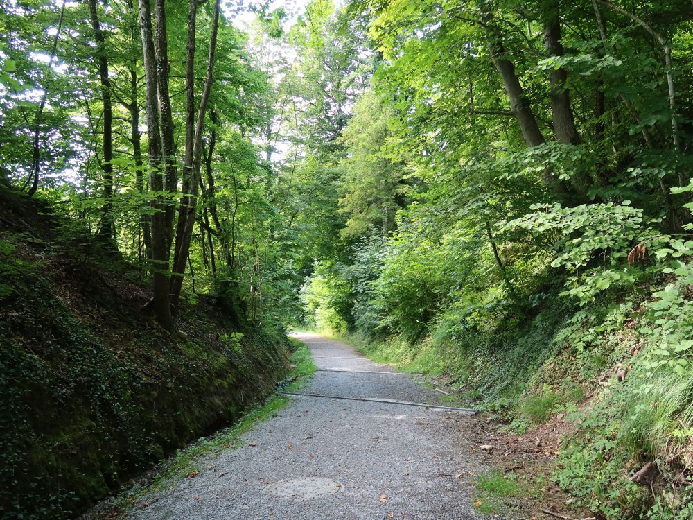 Sieiggasse