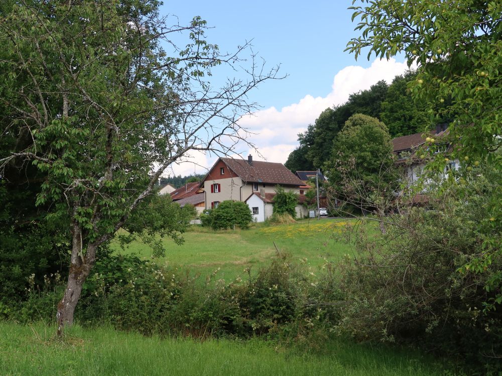 Waltenstein