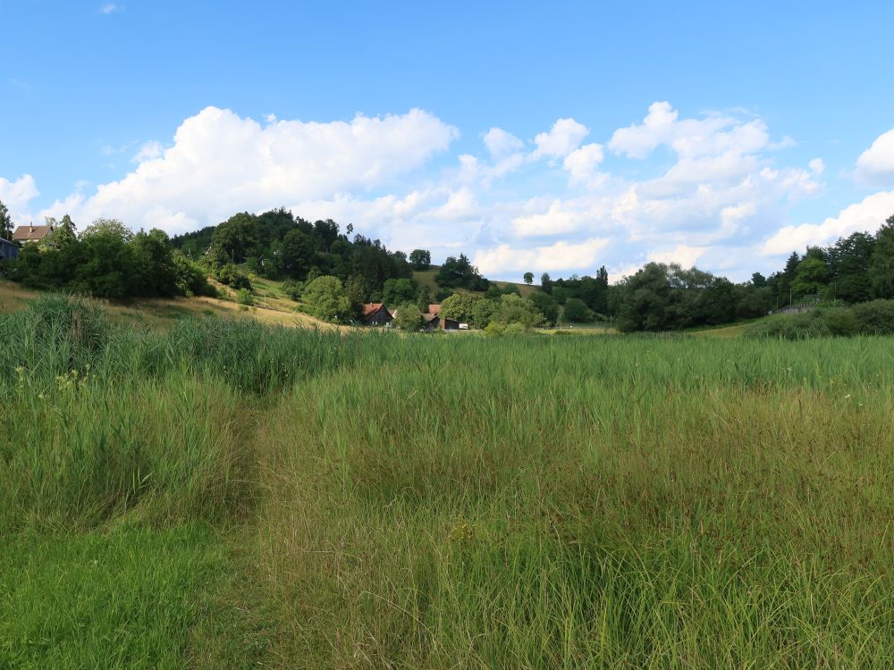 Riet unter Eichbüel