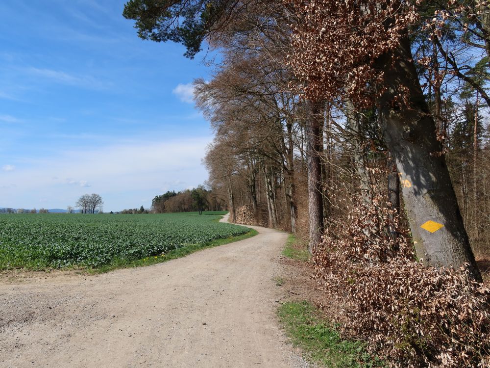 Effretikonstrasse
