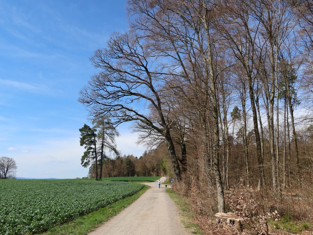 Effretikonstrasse