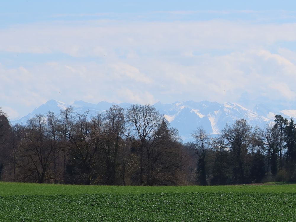 Glarner Berge