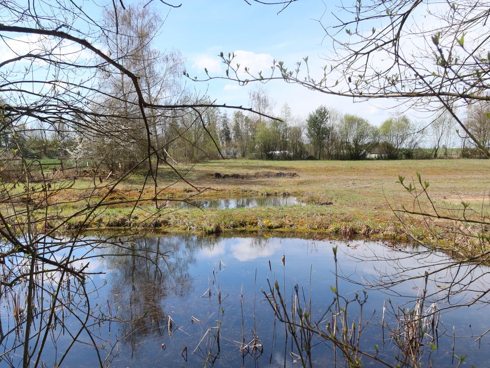 Natural Reservat