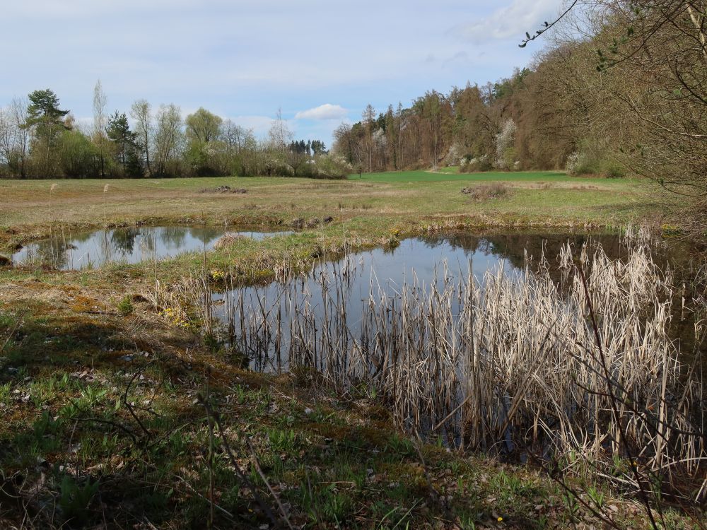 Natural Reservat