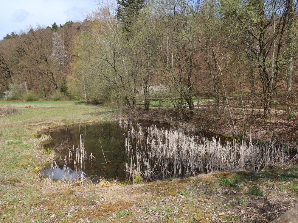 Natural Reservat