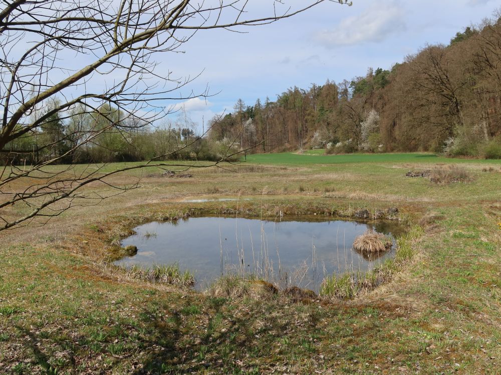 Natural Reservat