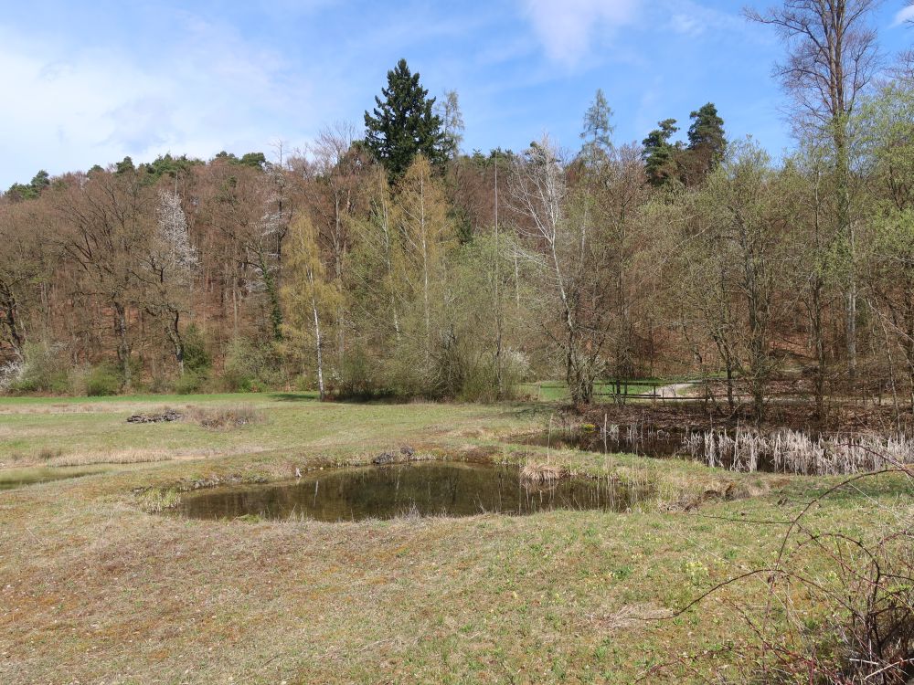 Natural Reservat