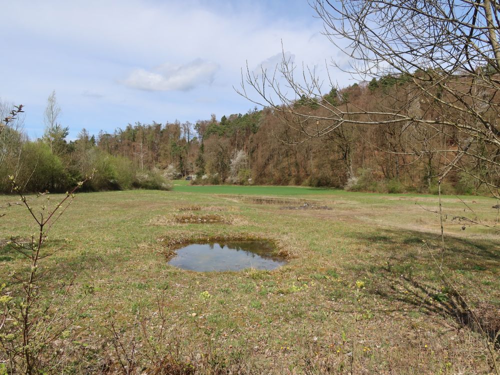 Natural Reservat