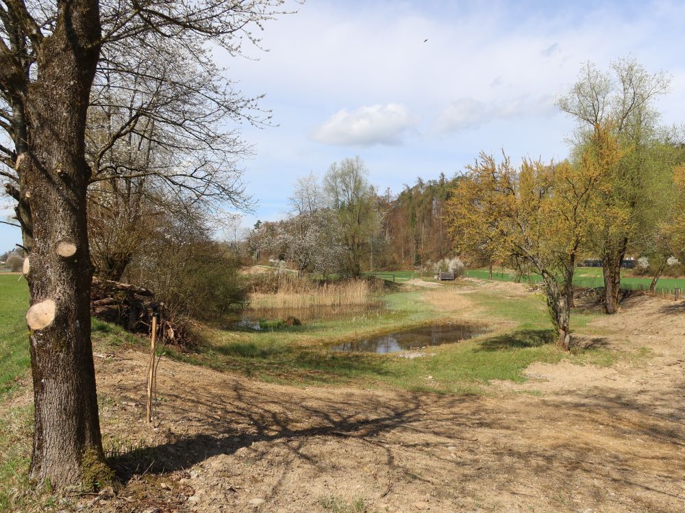 Lochrüti Weiher