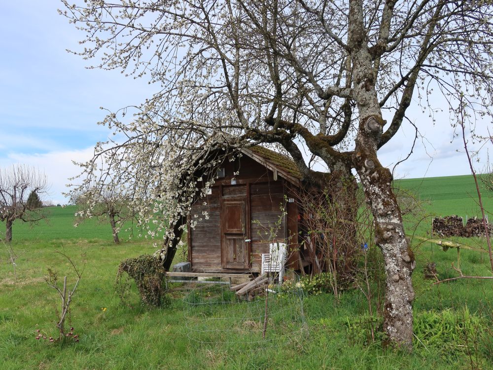 Hütte
