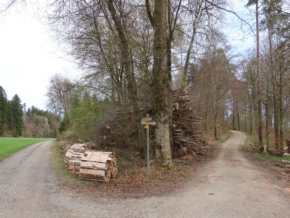 Weggabelung