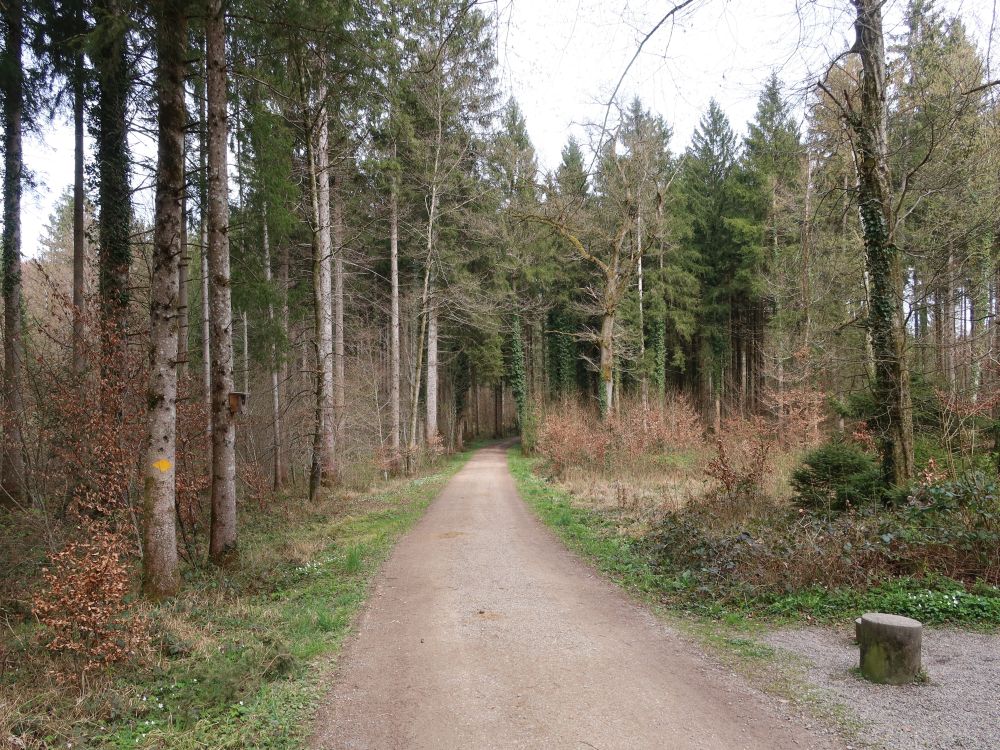 Samichlausweg