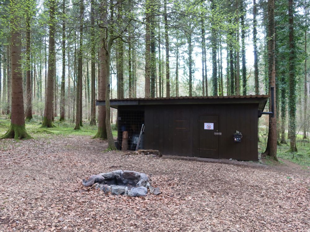 Waldhütte