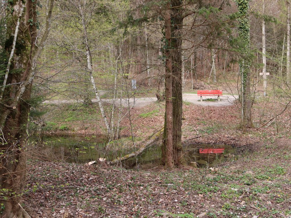 Teich mit Sitzbank