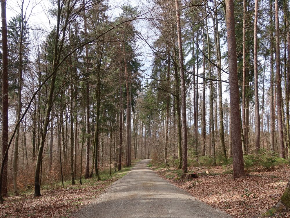 Marchsteinweg