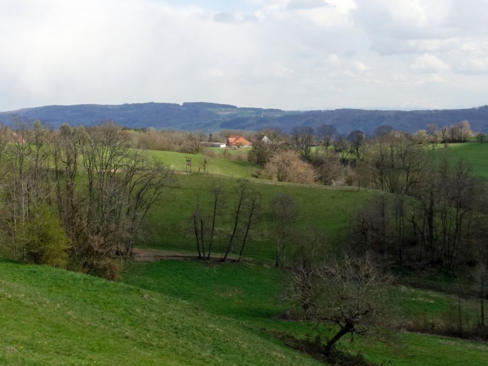 Blick zum Unteren Salenhof