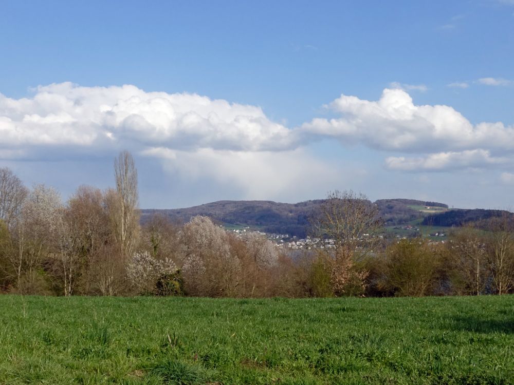 Blick über den Rhein