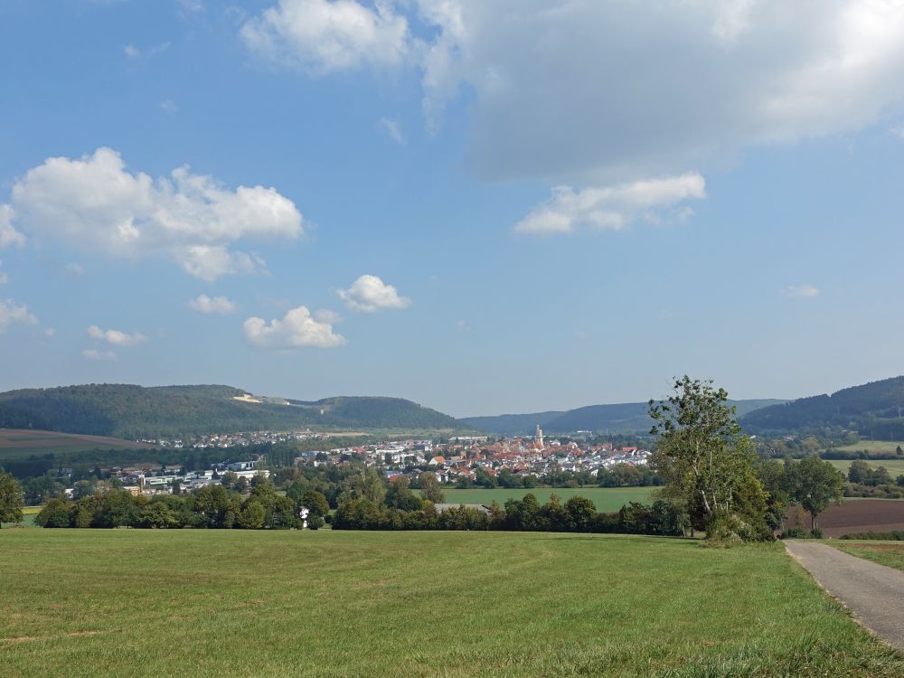 Geisingen