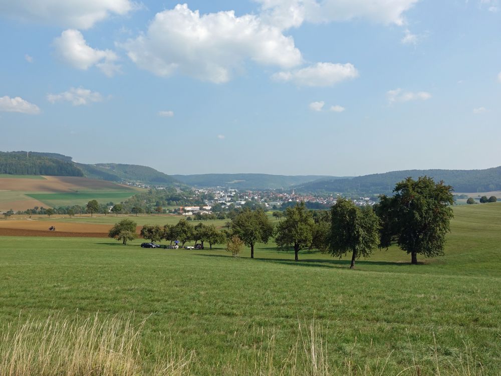 Geisingen