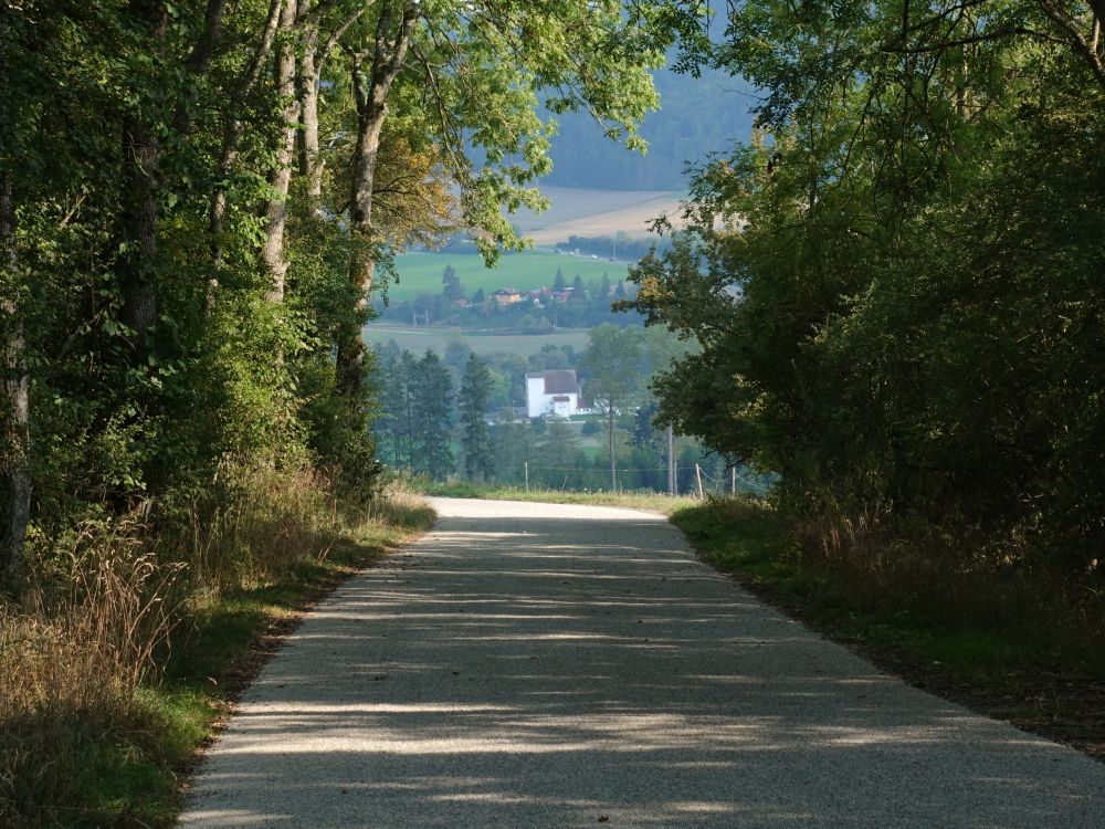 Blick zur Stadtmühle Geisingen