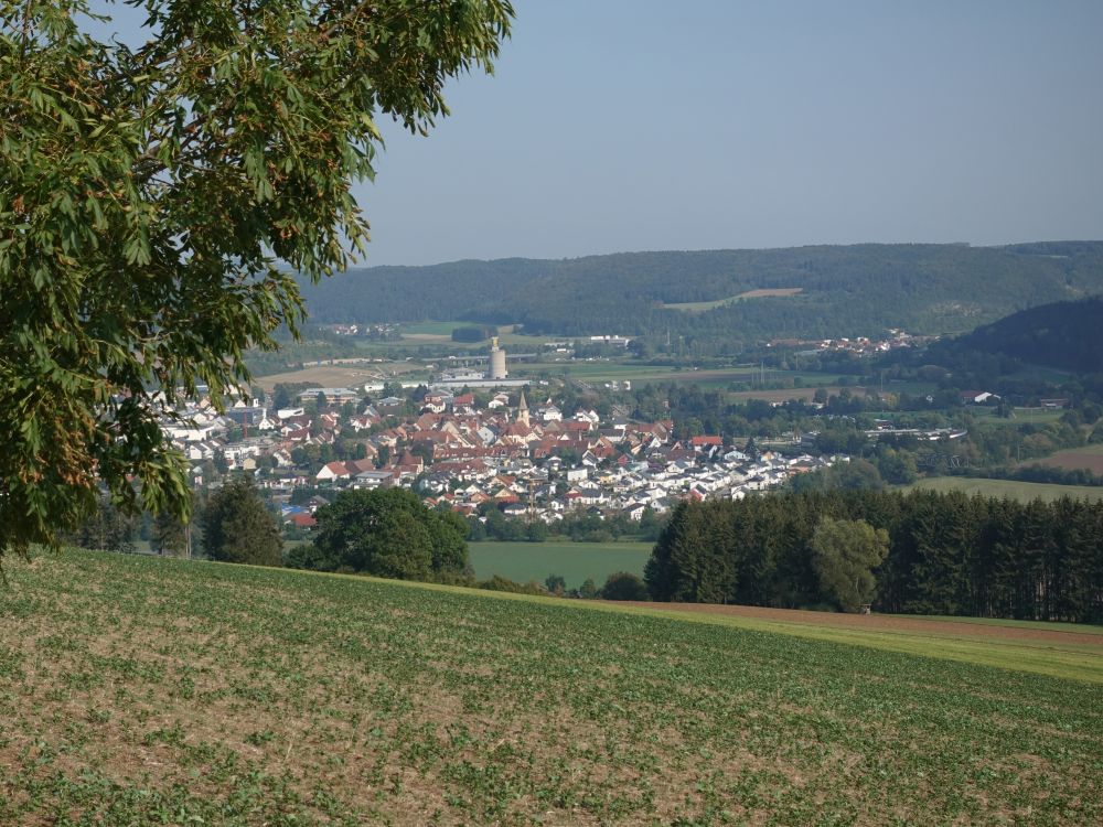 Geisingen