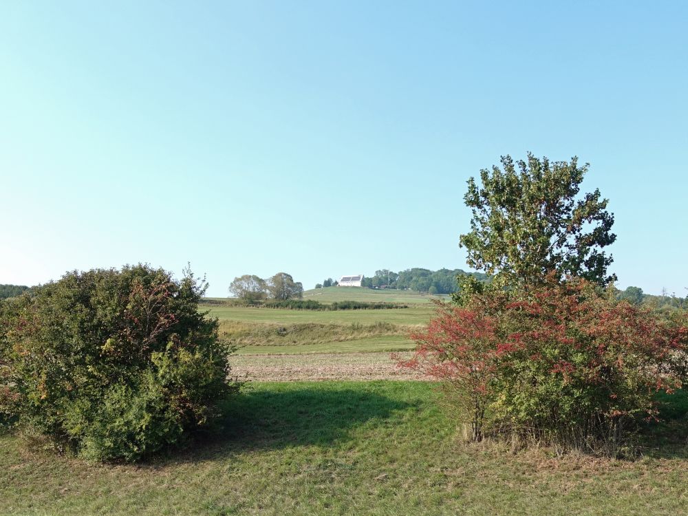 Blick zum Wartenberg