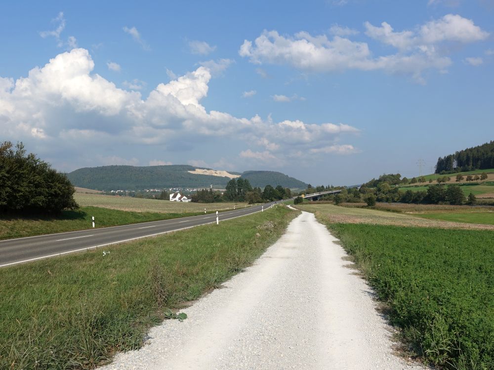 Strasse B31 und Geisinger Stadtmühle