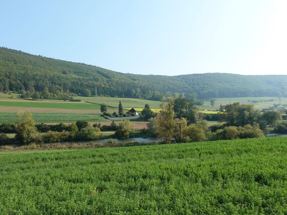 Donau bei Gutmadingen