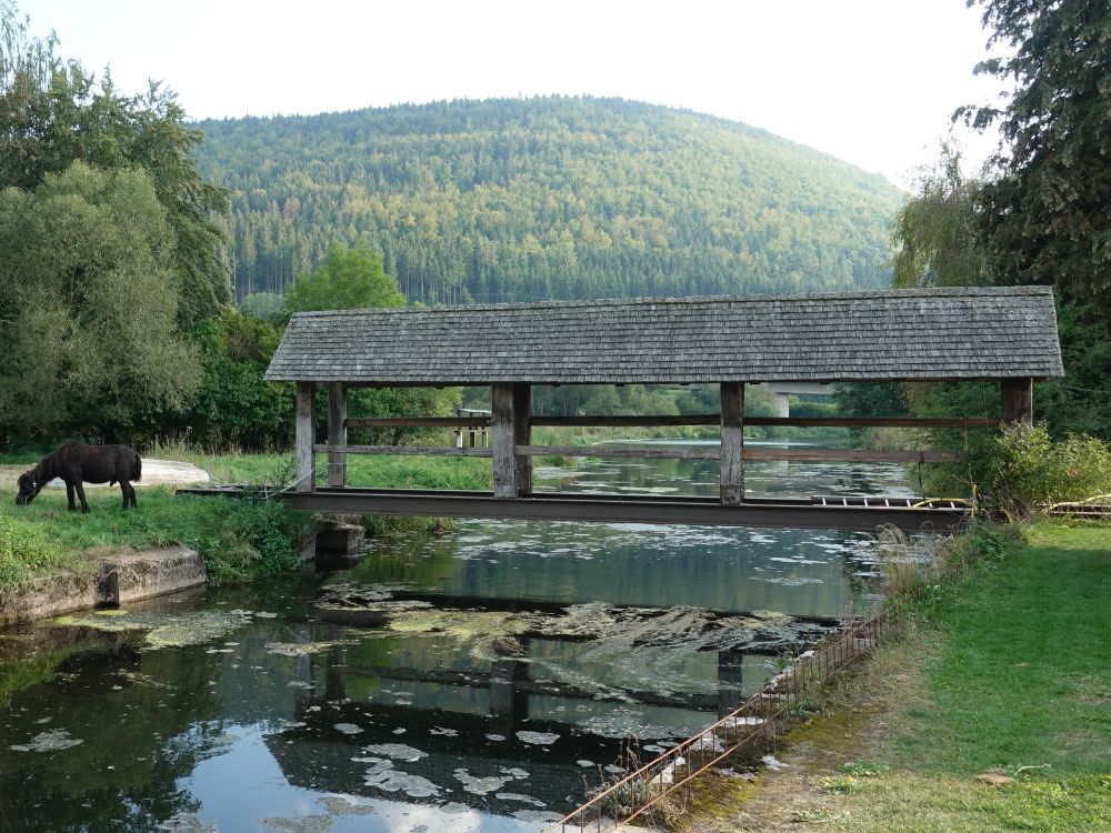 Holzsteg bei der Stadtmühle