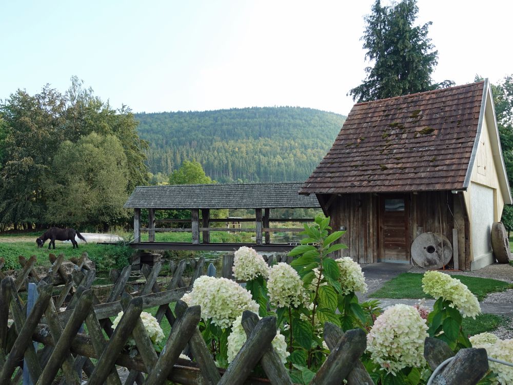 Holzsteg bei der Stadtmühle