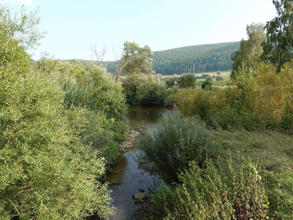 Donau bei Geisingen