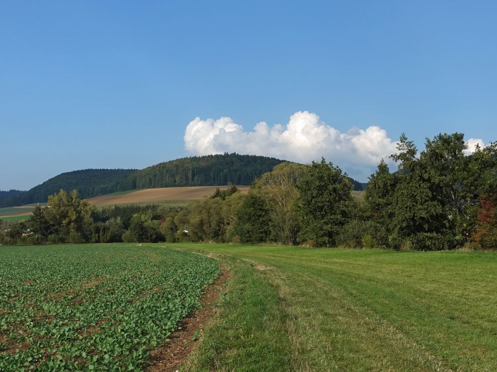 Wolke überm Hörnekapf