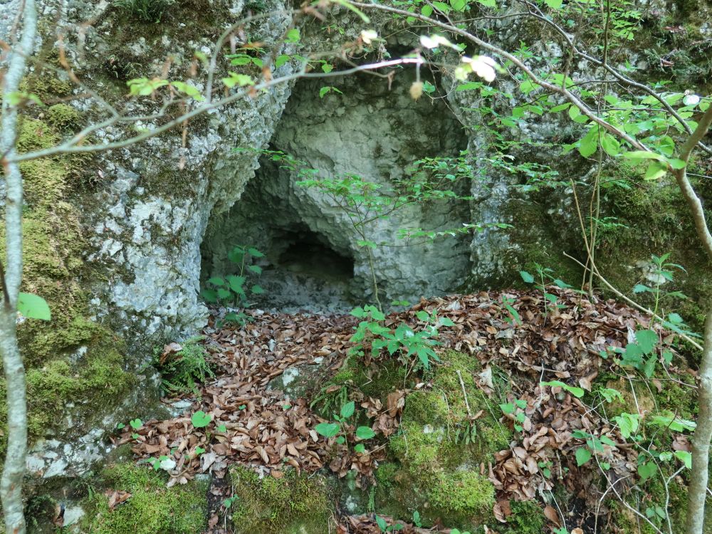 kleine Höhle