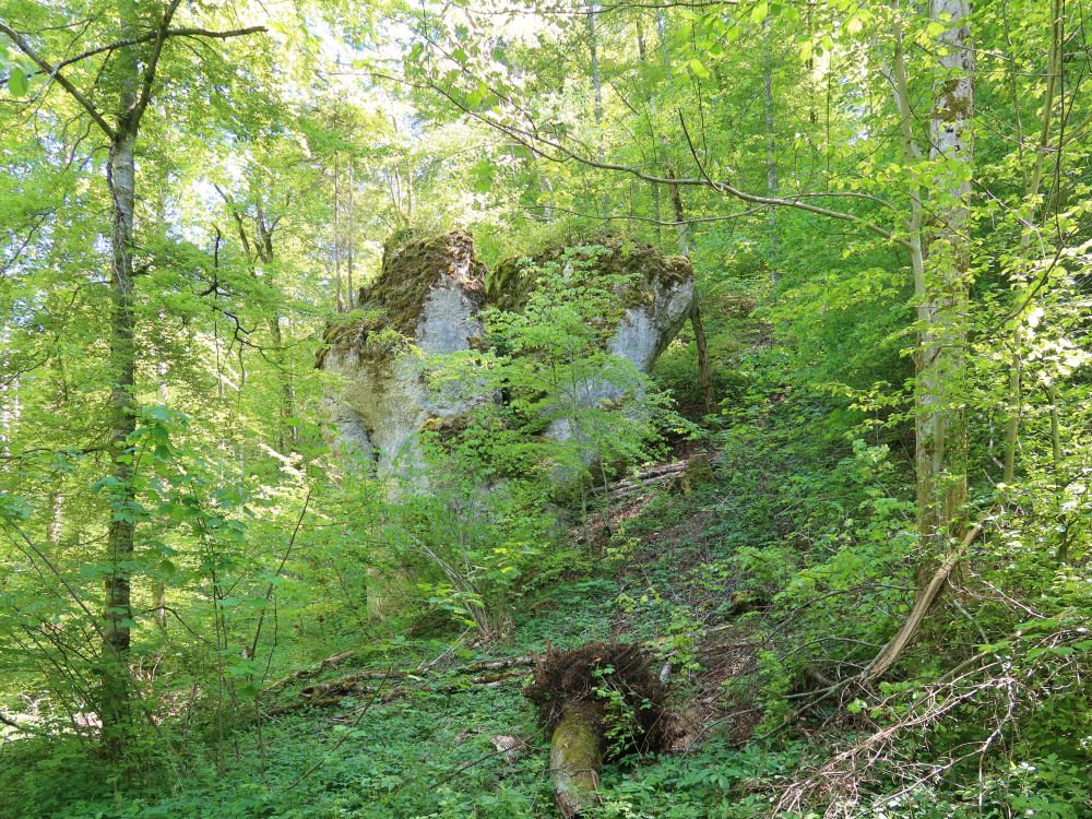 Fels im Wald