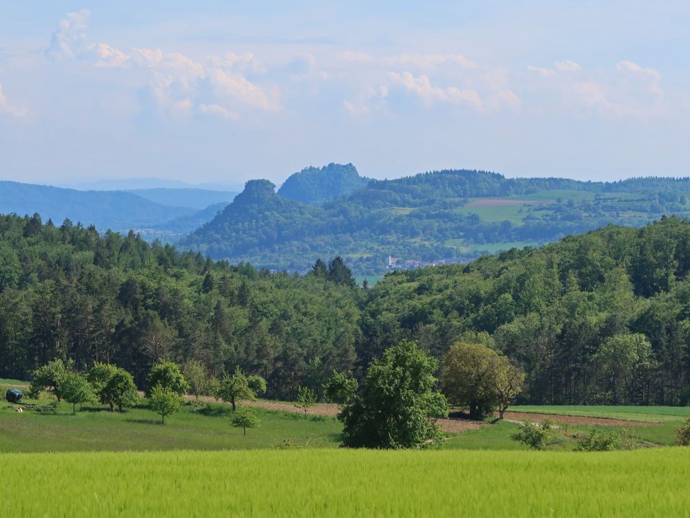 Hohenkrähen und Hohentwiel