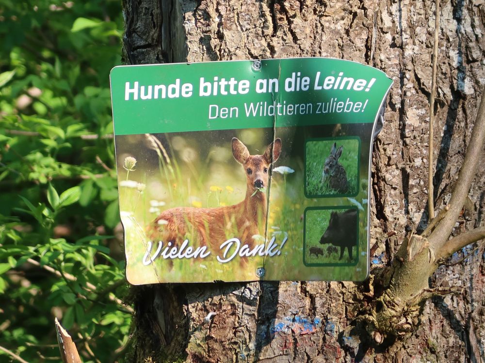 Hund an die Leine