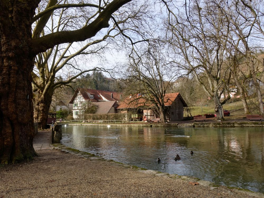 Bauernhof an der Aach