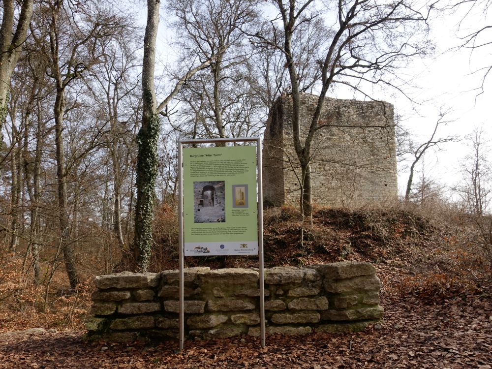 Burgruine Alter Turm