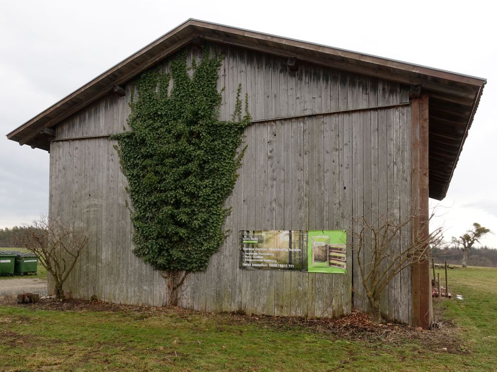 Scheune mit Baum