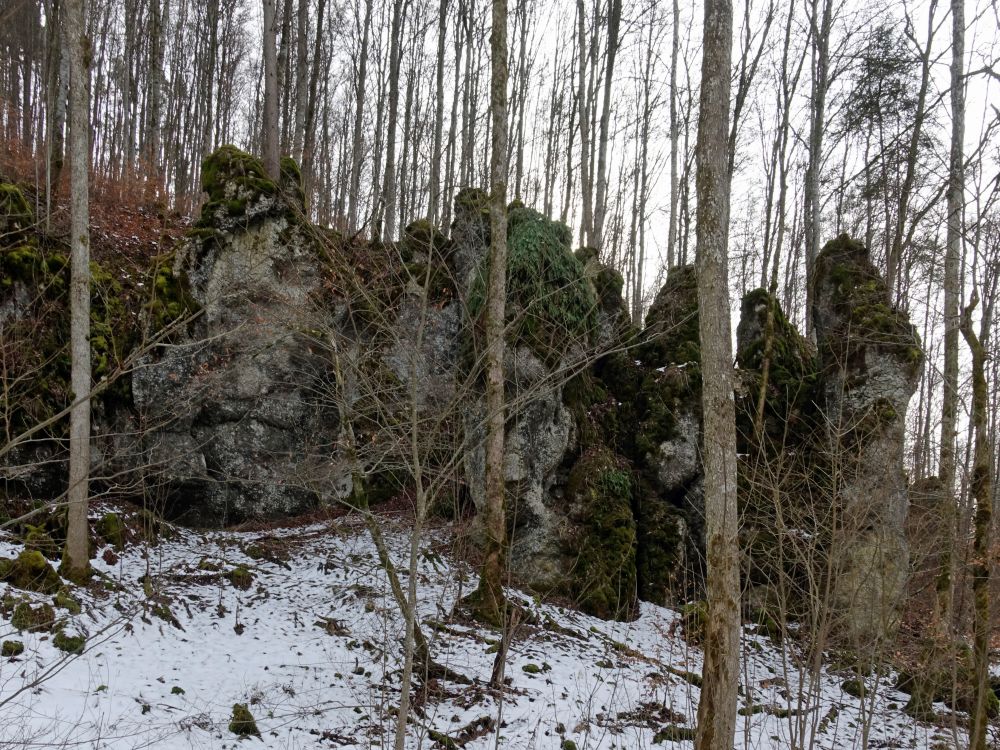Fels im Wasserburgertal