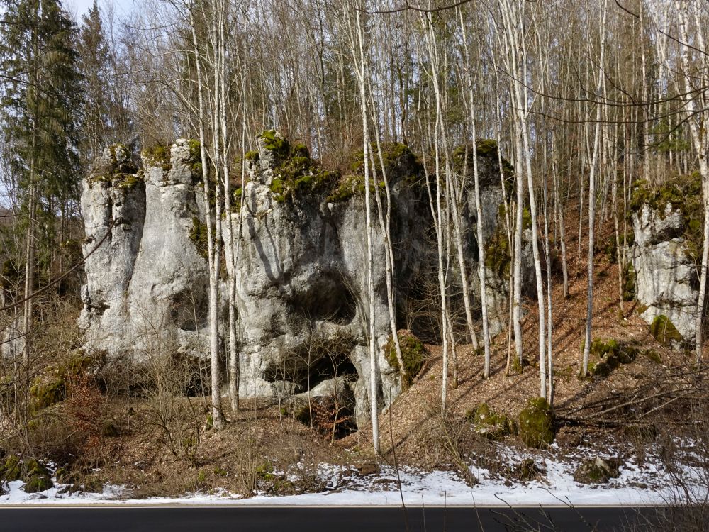Fels im Wasserburgertal
