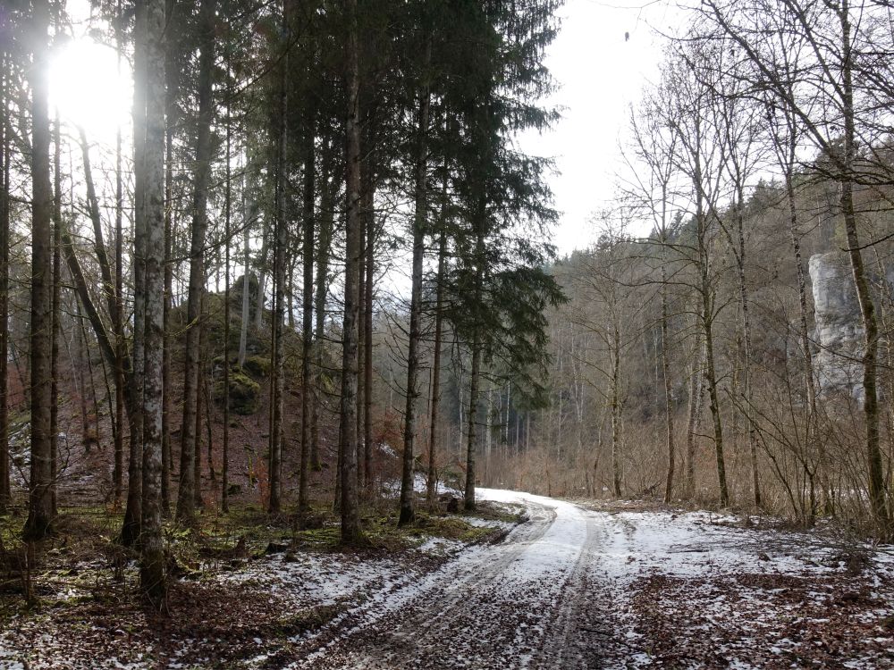 Weg im Wasserburgertal