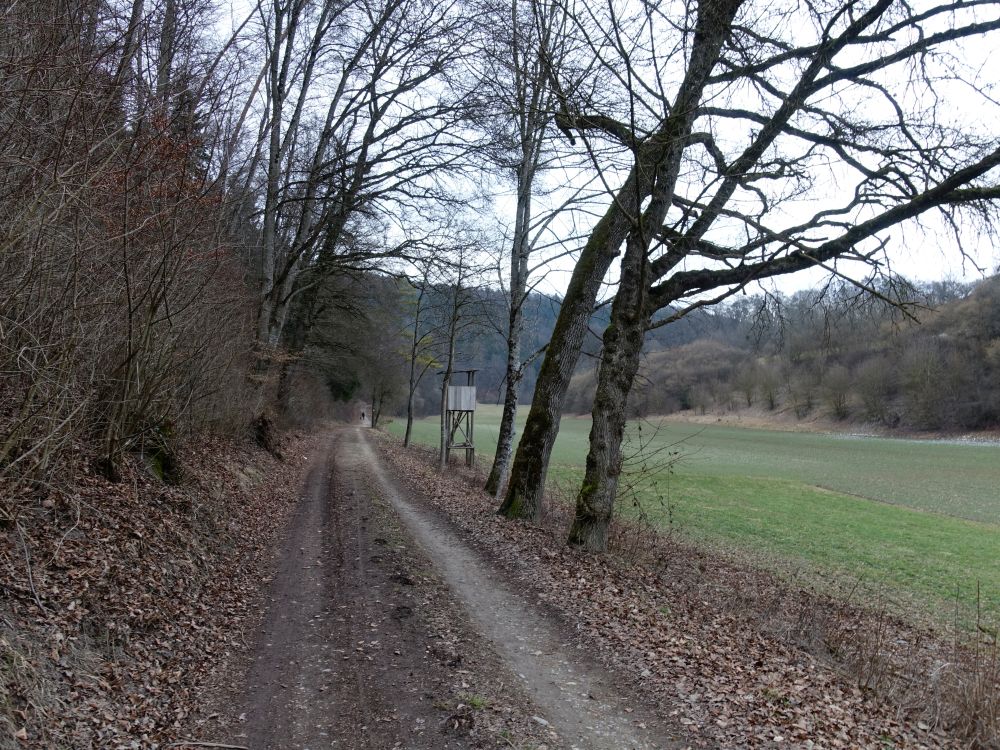 Weg bei Auderle