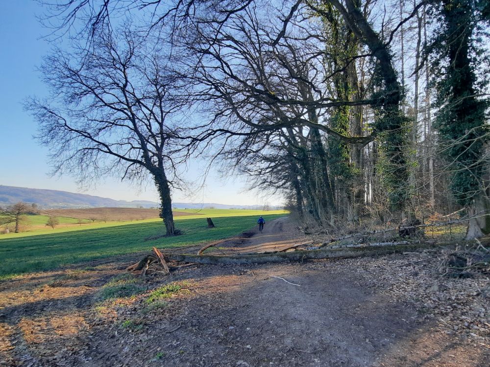 Wanderwg oberhalb Rainhau