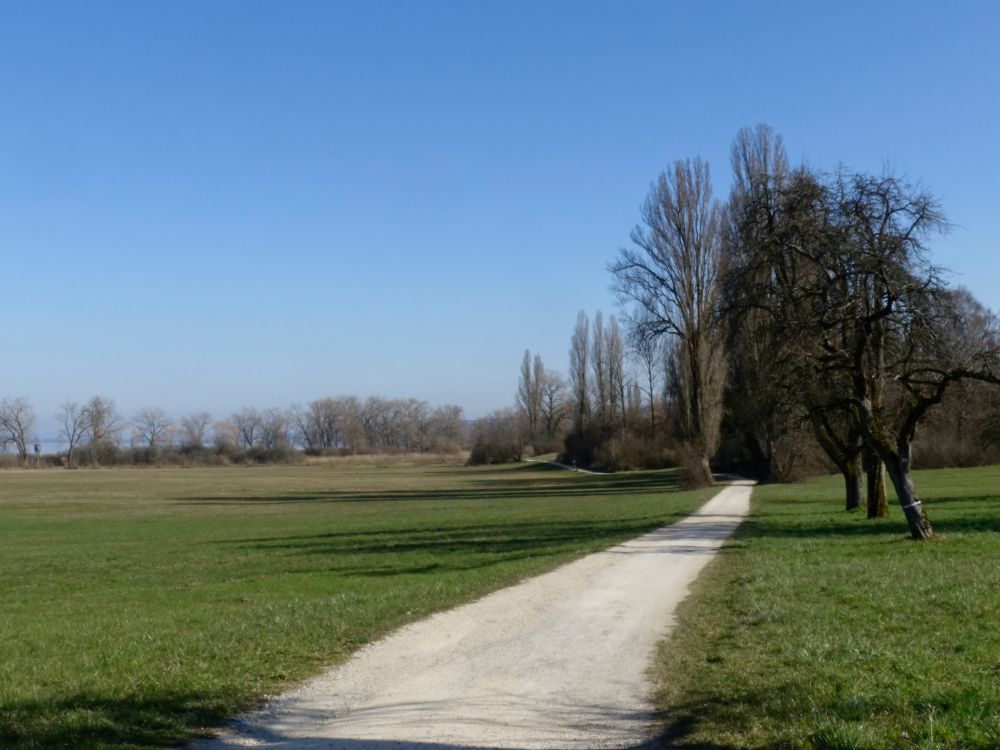 Bodensee-Rundweg