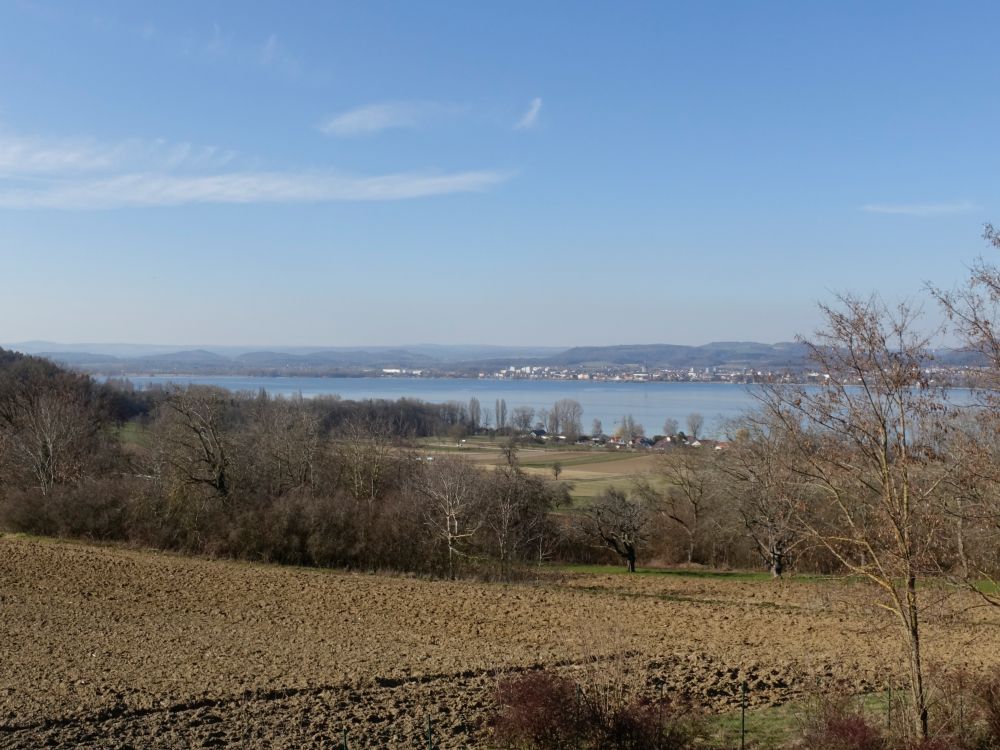 Blick Richtung Radolfzell