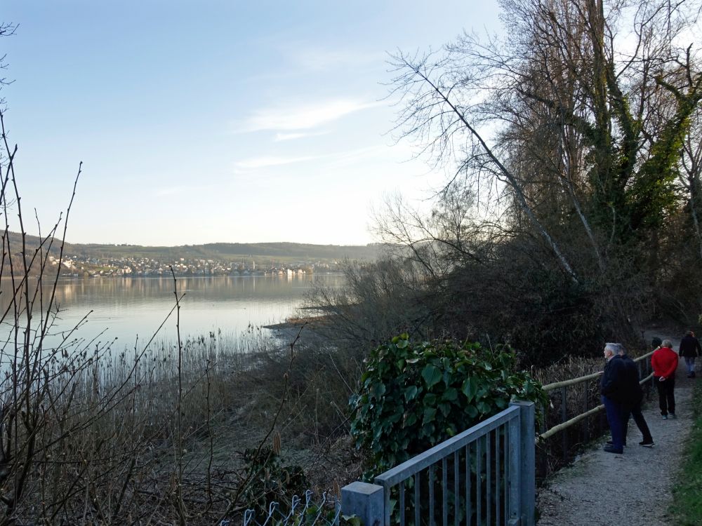 Blick Richtung Steckborn